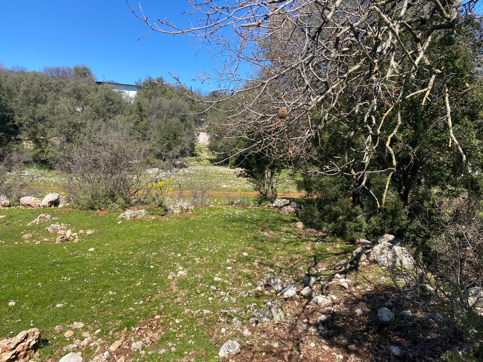 Kaş Pınarbaşı Kartın mevkiinde kupon tarla