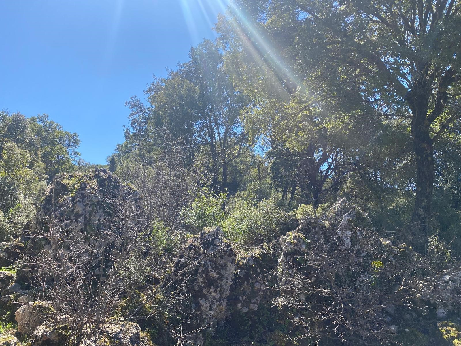 Kaş Pınarbaşı Kartın mevkiinde kupon tarla