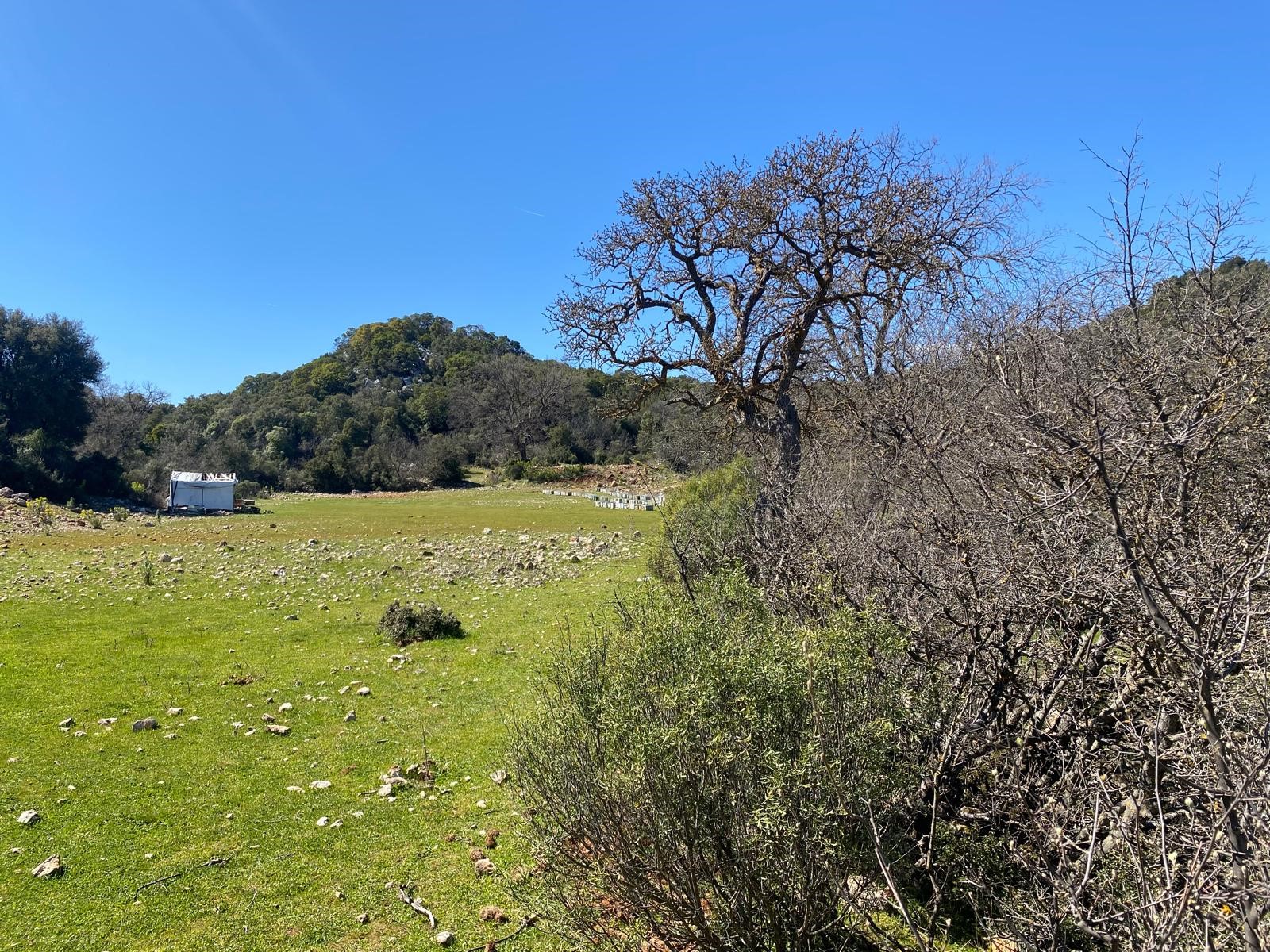 Kaş Pınarbaşı Kartın mevkiinde kupon tarla