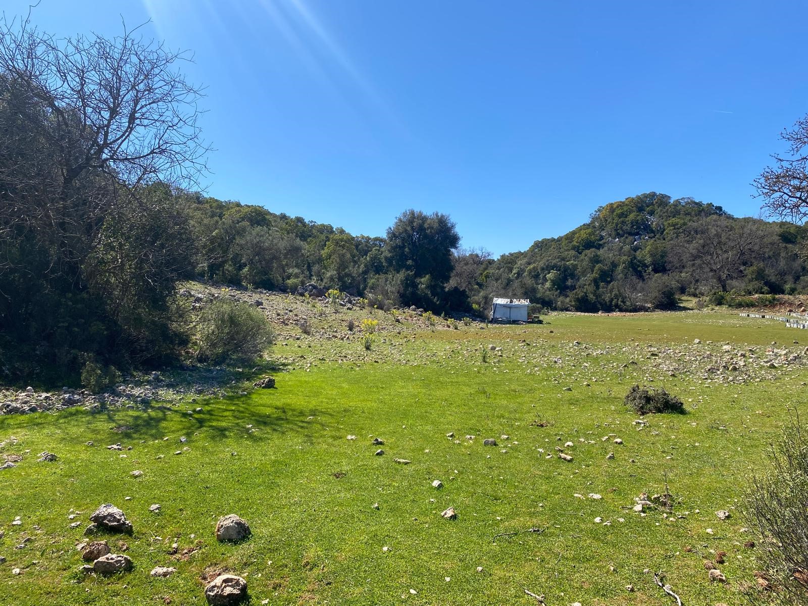 Kaş Pınarbaşı Kartın mevkiinde kupon tarla
