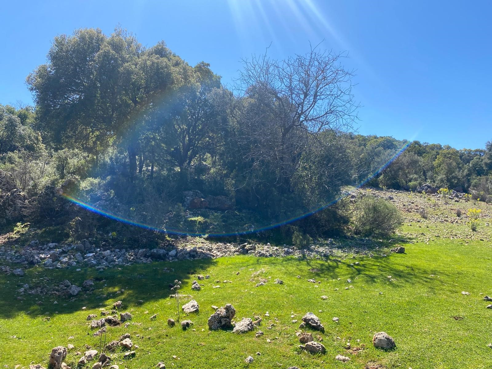 Kaş Pınarbaşı Kartın mevkiinde kupon tarla