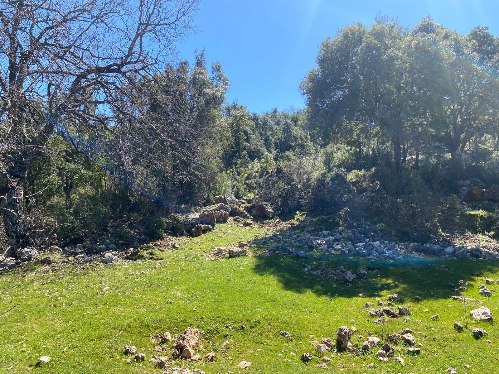 Kaş Pınarbaşı Kartın mevkiinde kupon tarla