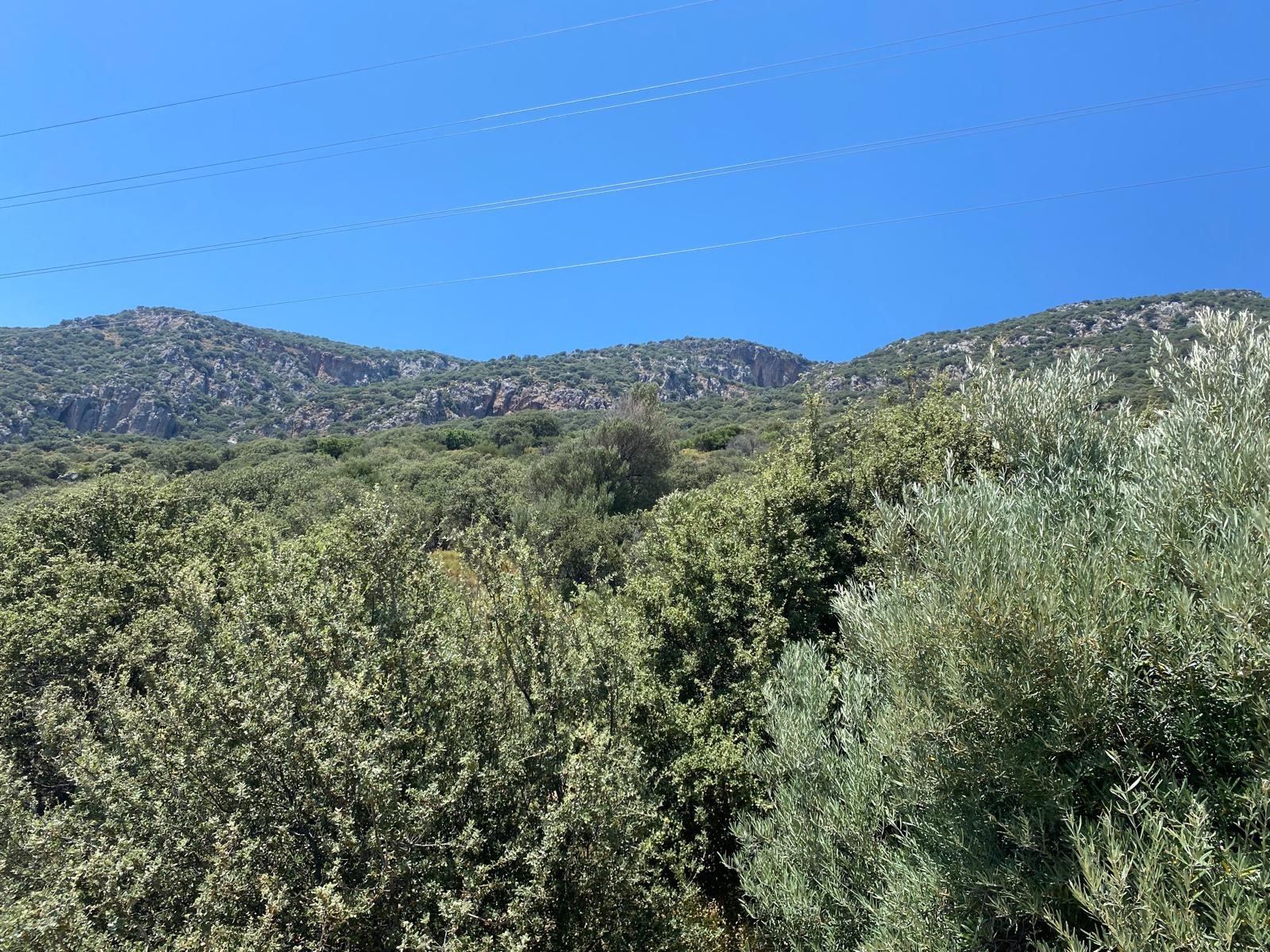 Kaş gökseki de deniz manzaralı yatırımlık parsel