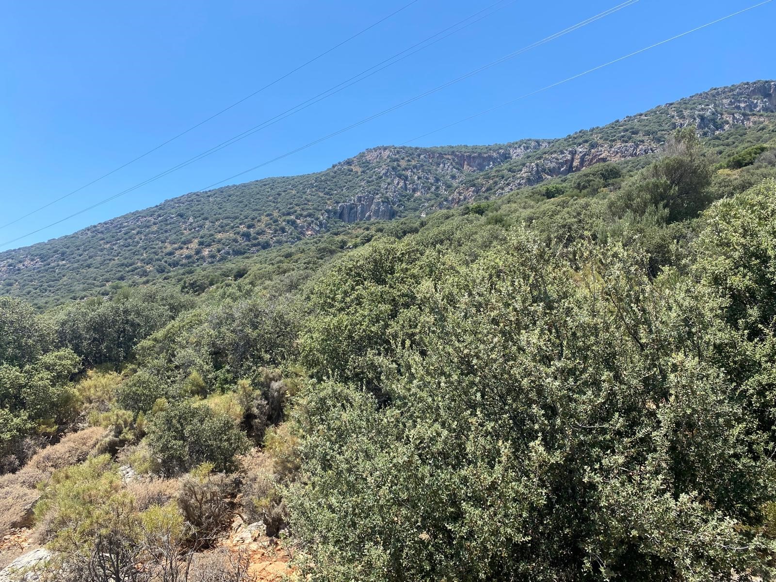 Kaş gökseki de deniz manzaralı yatırımlık parsel
