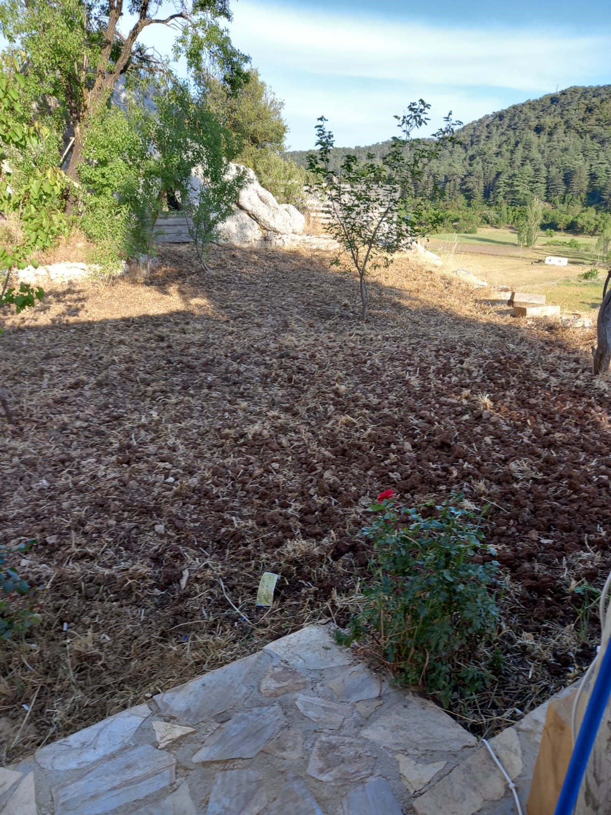 Kaş Yeniköy Asas ta müstakil taş ev