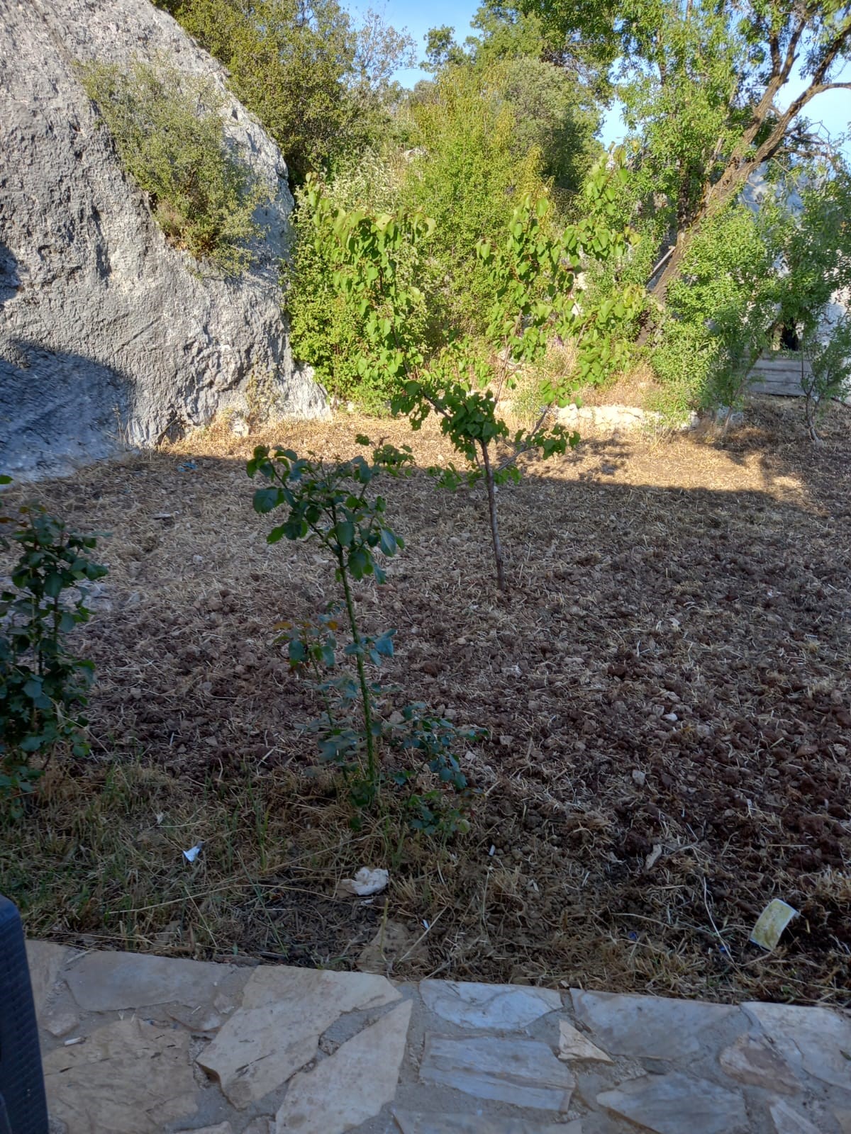 Kaş Yeniköy Asas ta müstakil taş ev