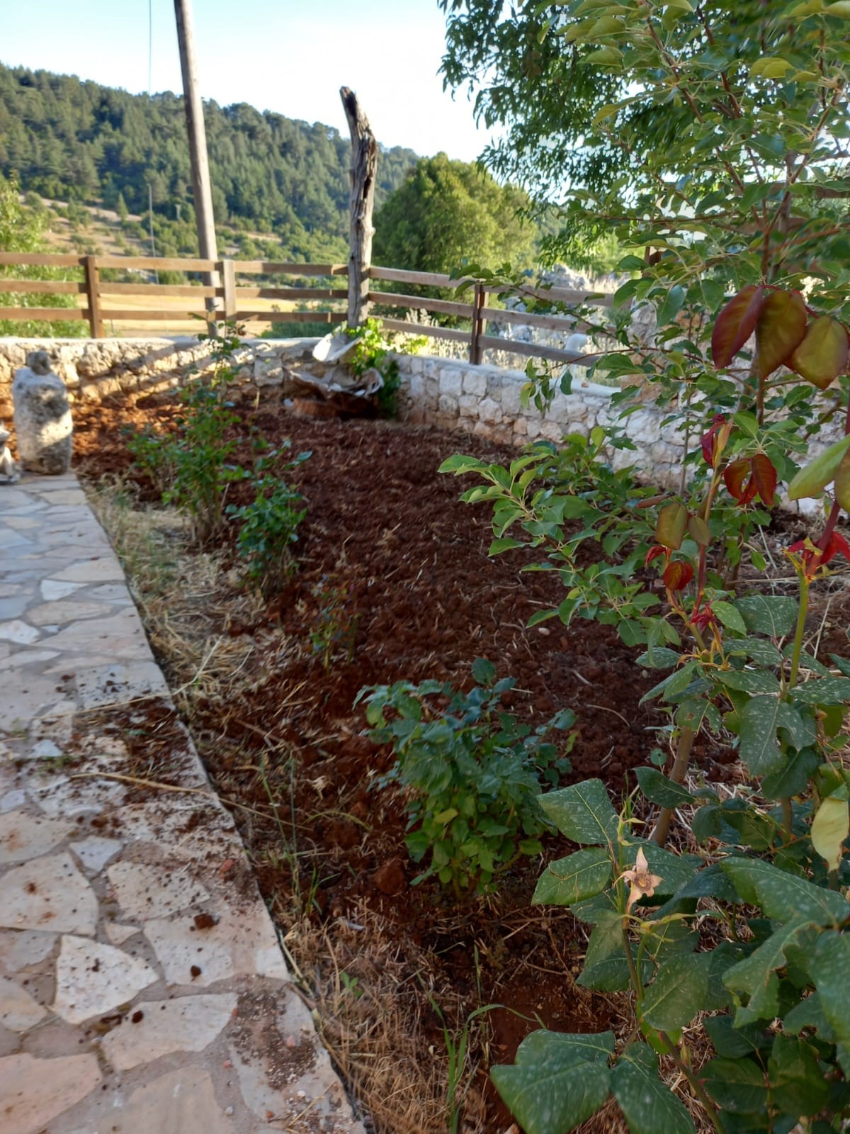 Kaş Yeniköy Asas ta müstakil taş ev