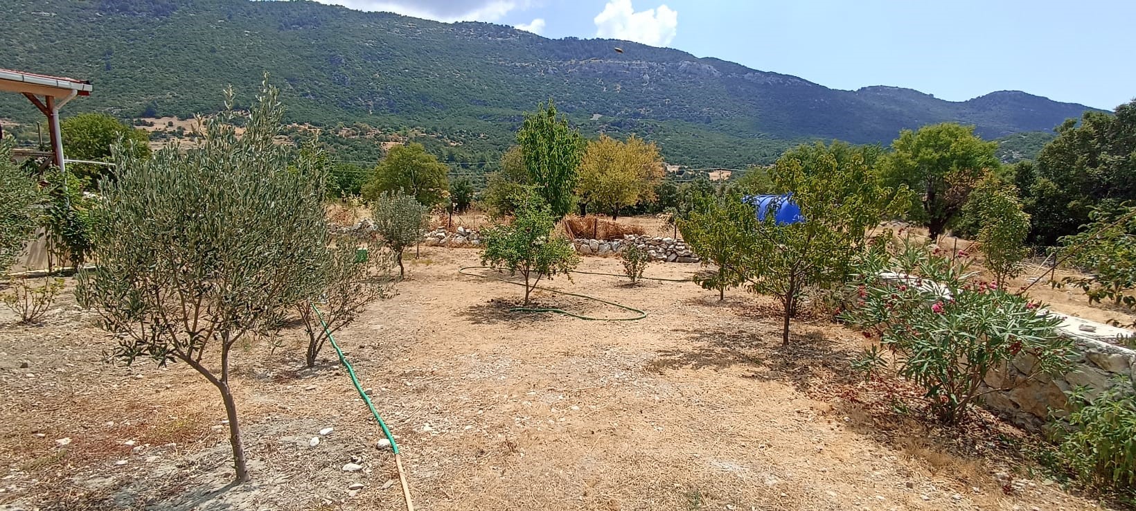 Kaş İkizce de 2 adet müstakil ev toplam 5687,52m2 arazi içinde !!!