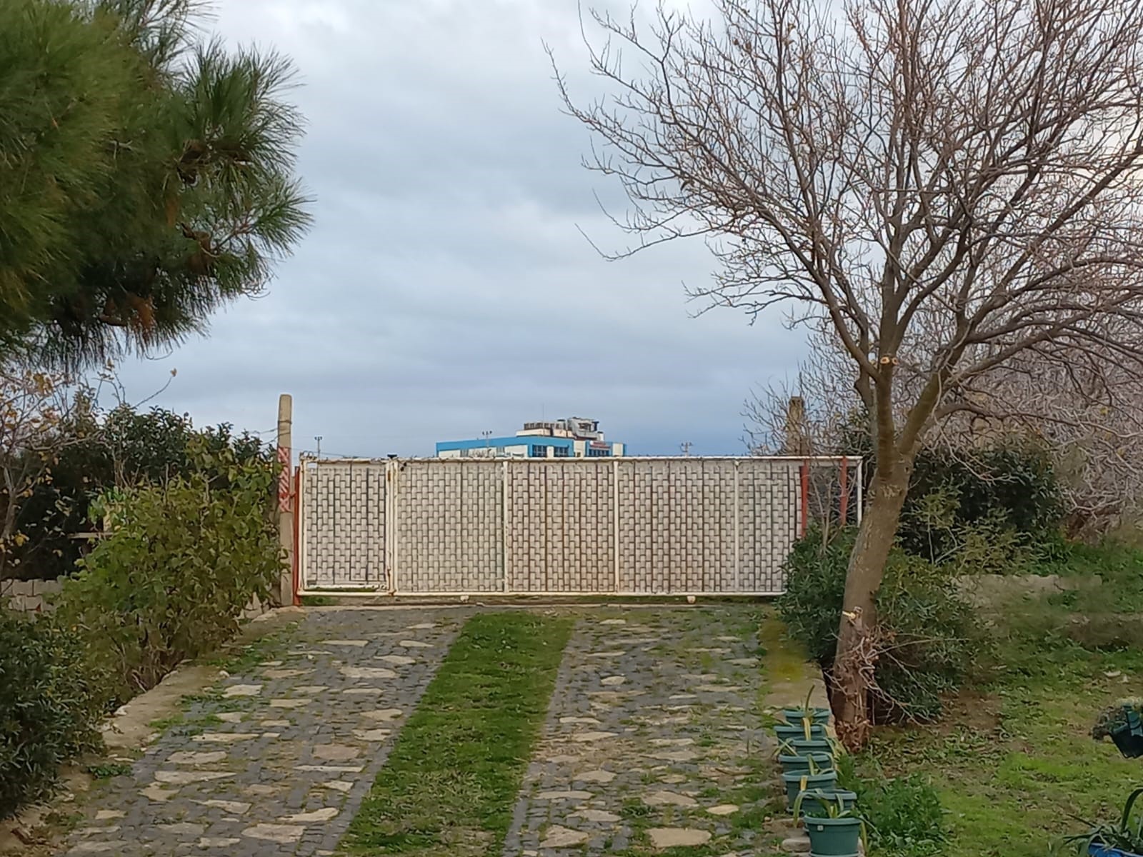 Edirne Enez'de Satılık 23.137 m² Müstesna Çiftlik Evi