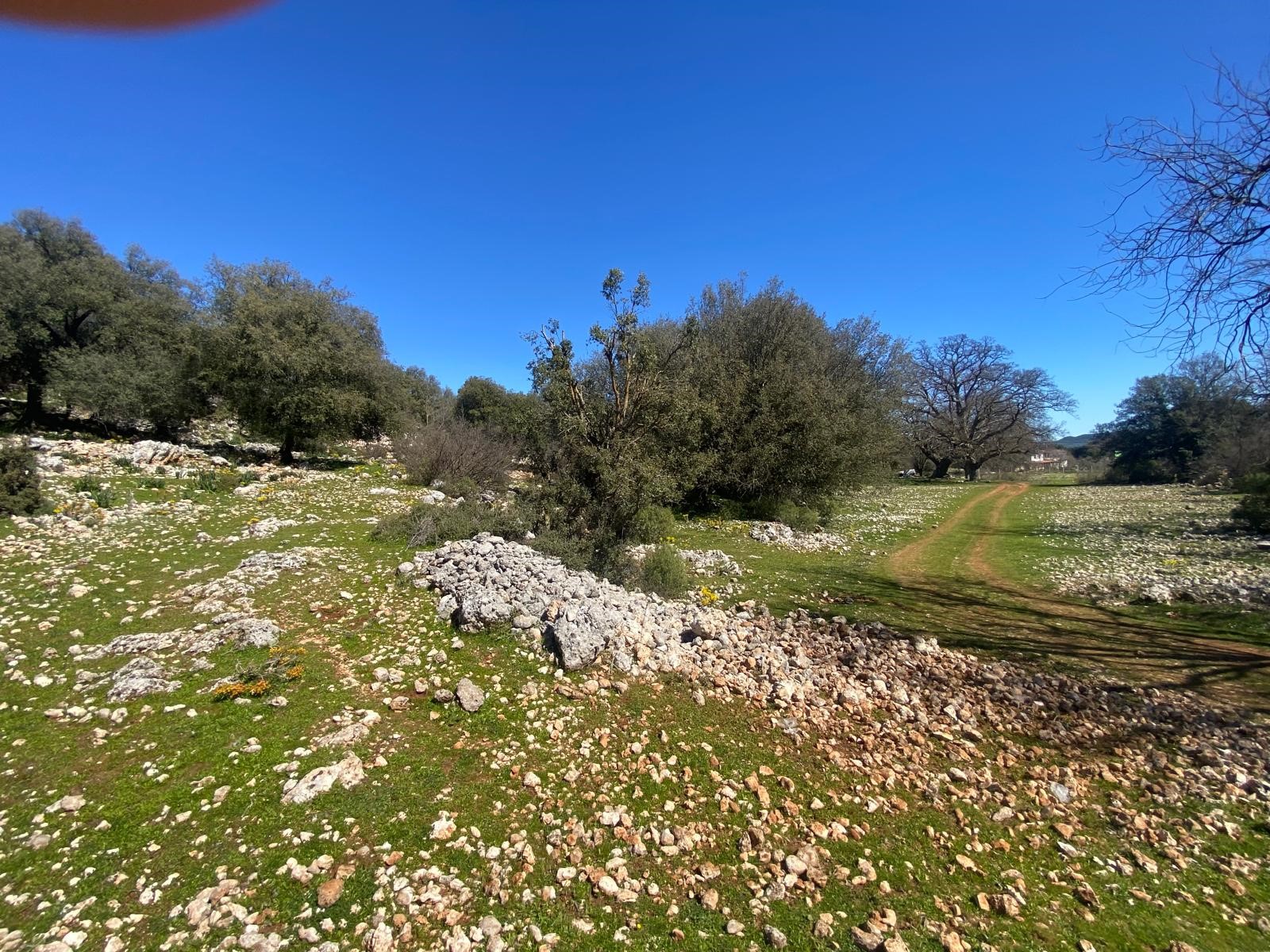 Kaş Pınarbaşı Kartın mevkiinde kupon tarla