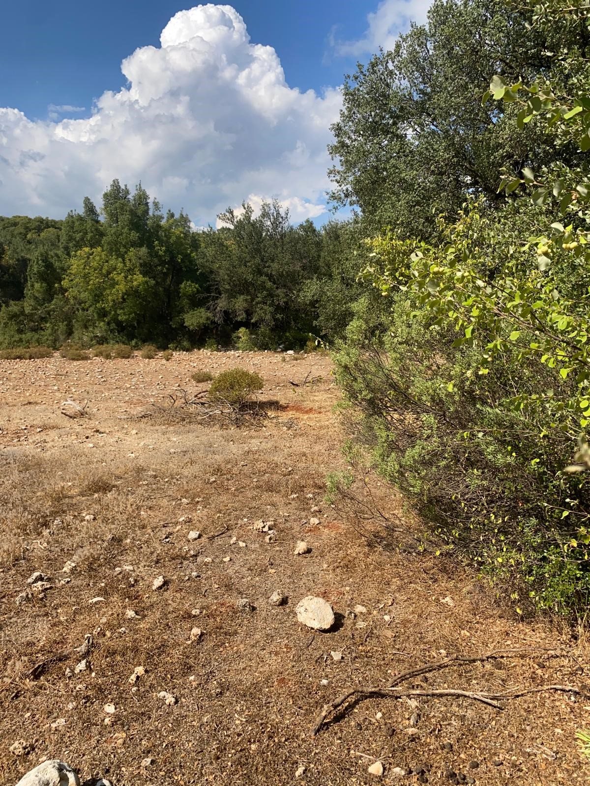 Kaş Pınarbaşı mah. uygun fiyatlı tarla